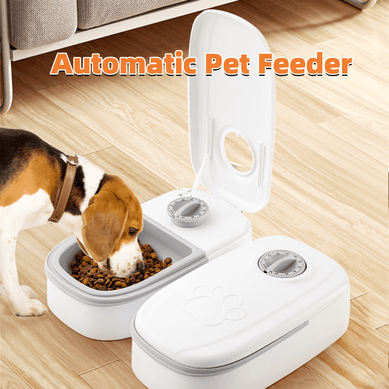 Automatic Pet Feeder Smart Food Dispenser For Cats Dogs Timer Stainless Steel Bowl Auto Dog Cat Pet Feeding Pets Supplies - Wizcoffer